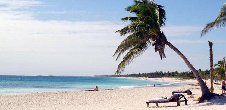 Северна Америка